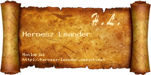 Hernesz Leander névjegykártya